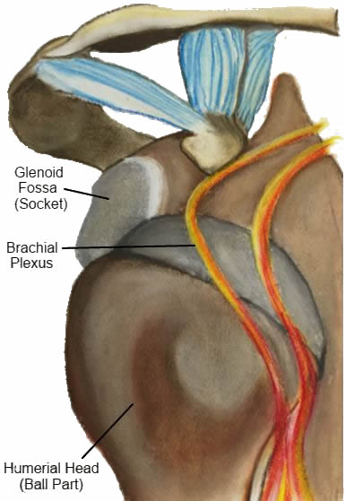 bony Bankart lesion